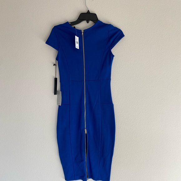 NWT Felicity &Coco Ward Seamed Pencil Dress ZIPPER - Picture 5 of 8